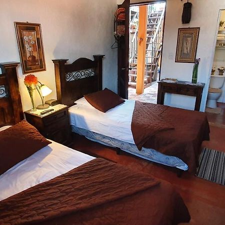 Parrot House Bed & Breakfast Antigua Ngoại thất bức ảnh