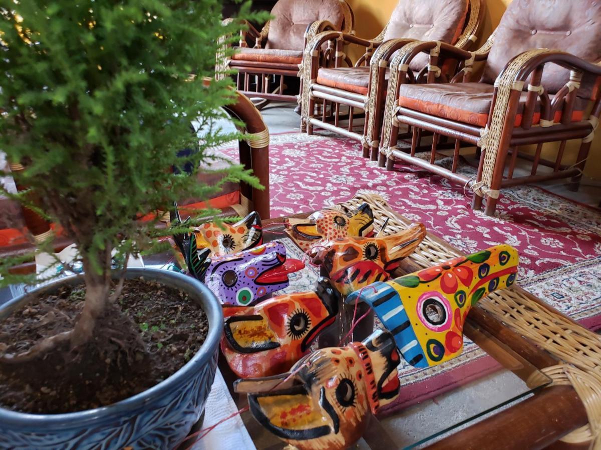 Parrot House Bed & Breakfast Antigua Ngoại thất bức ảnh