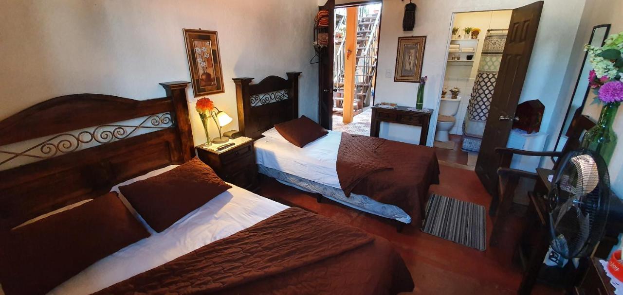 Parrot House Bed & Breakfast Antigua Ngoại thất bức ảnh
